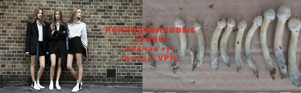 спиды Киренск