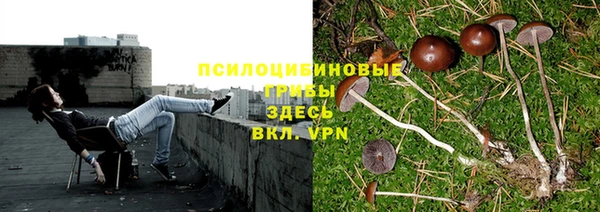 спиды Киренск