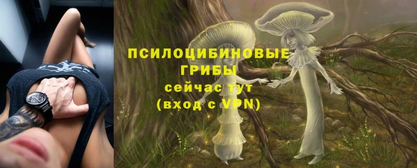 экстази Киреевск